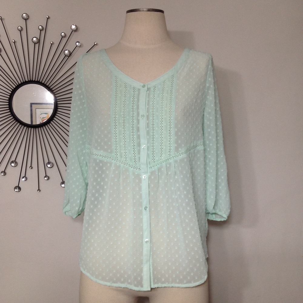 Chiffon Textured Sheer Blouse